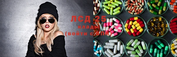 тгк Аша