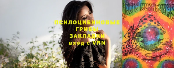 ешки Михайловск